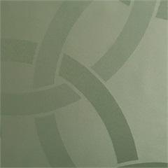 Eclipse Fern